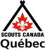 Q Scout logo